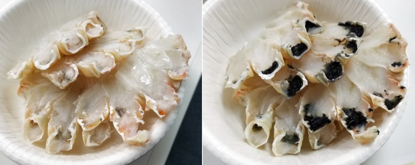 カニの黒変の写真